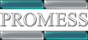Promess logo