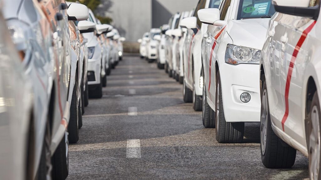 rental cars parked in a line